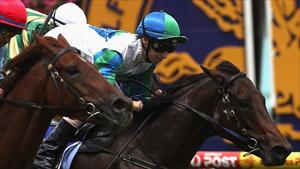 Shopaholic primed for a tilt at Tiara